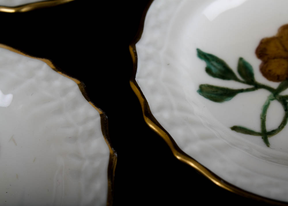 Royal Copenhagen Hand Painted Porcelain Caviar Plates, Set of Five