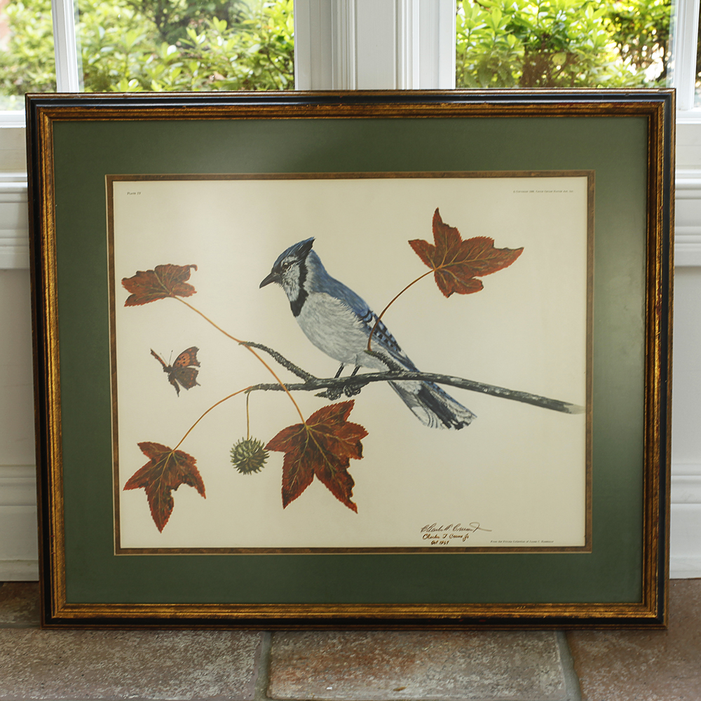 Charles J. Crume Jr. Framed and Matted Print of a Blue Jay