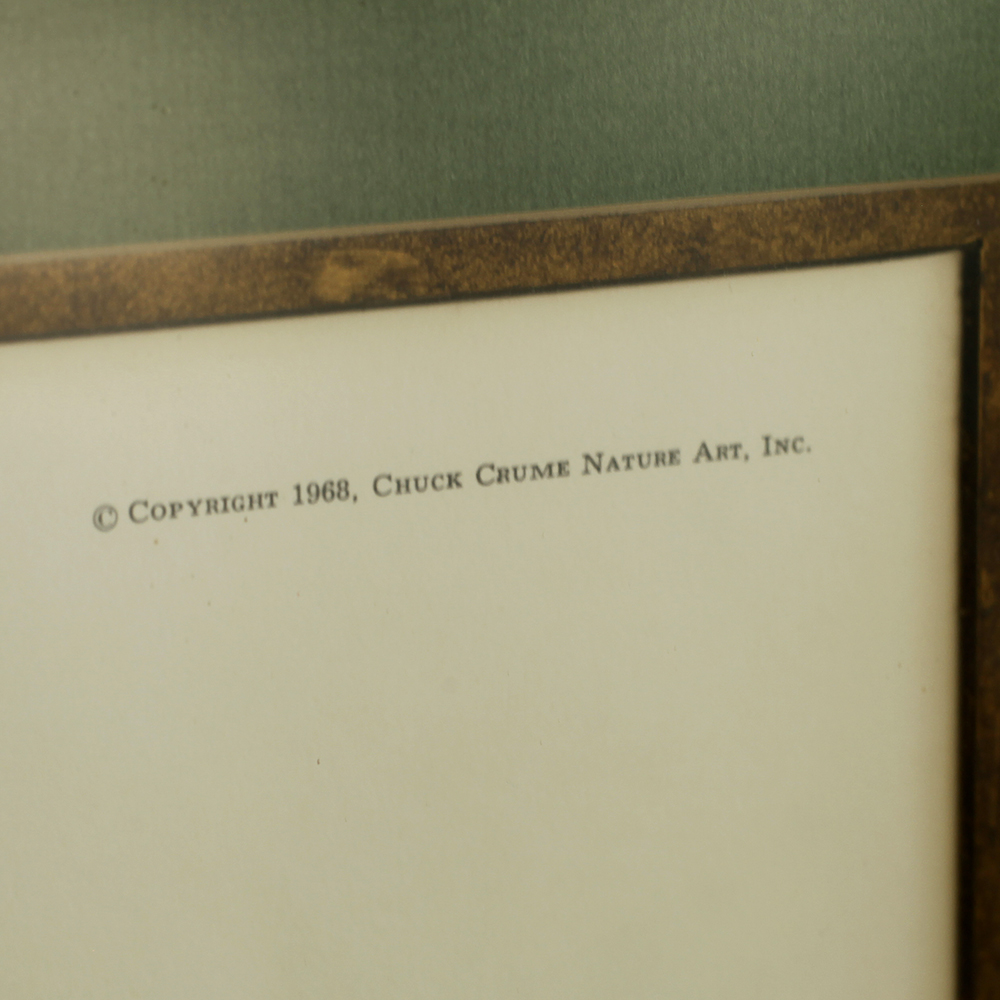 Charles J. Crume Jr. Framed and Matted Print of a Blue Jay