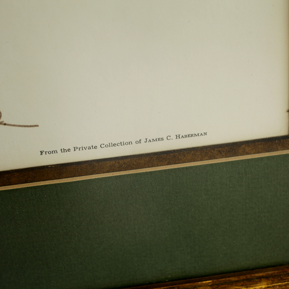 Charles J. Crume Jr. Framed and Matted Print of a Blue Jay