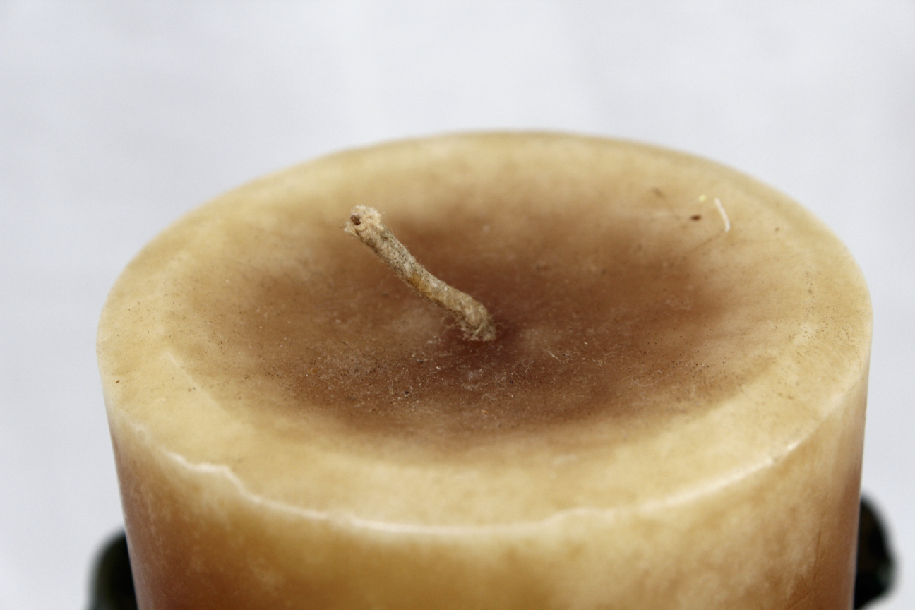 Cockatoo Parrot Candle Holder