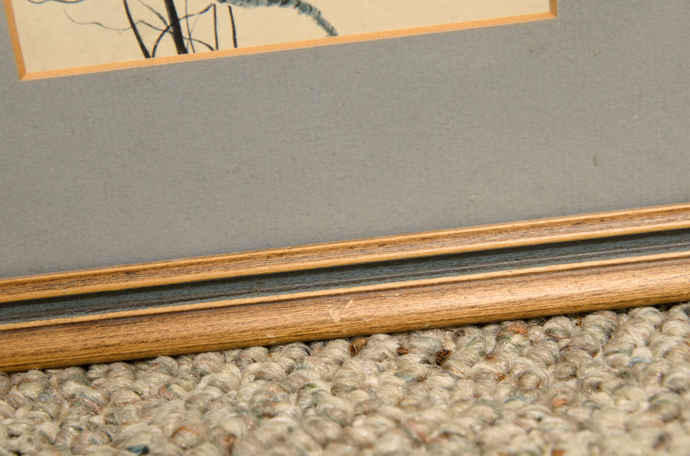 Signed P. Buckley Moss "Hungry Baby Bird" Offset Lithograph