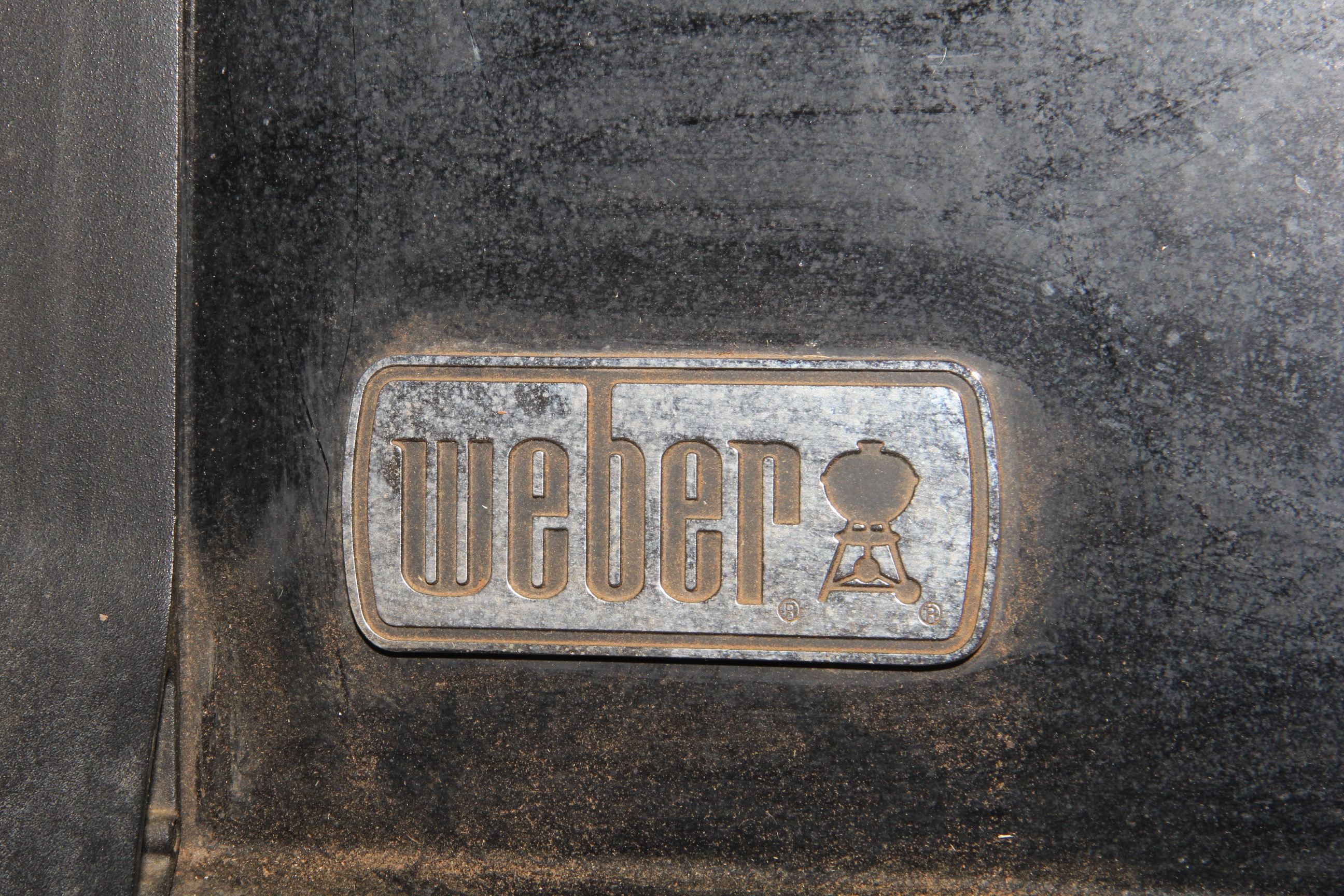 Weber Gas Grill