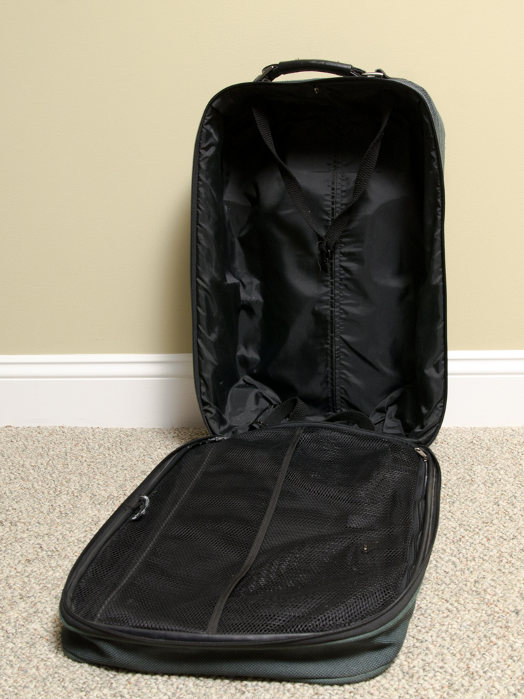 Collection of Samsonite  and Travelpro Suitcases