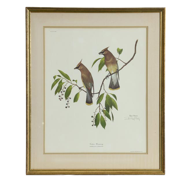 Ray Harm Signed Print "Cedar Waxwing"