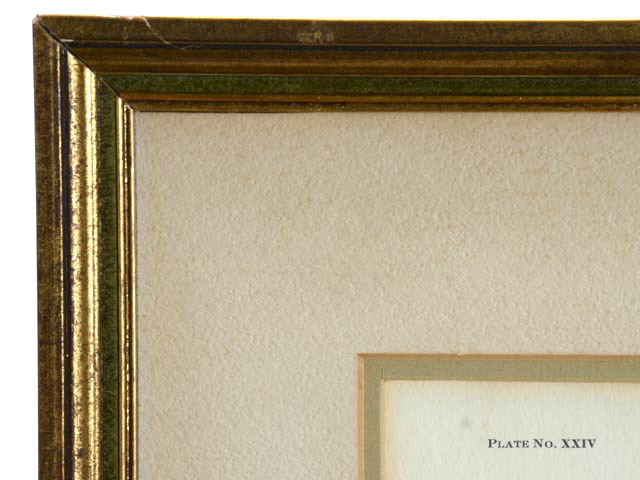 Ray Harm Signed Print "Cedar Waxwing"