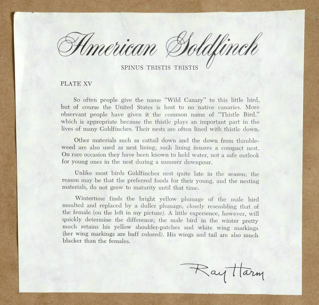 Ray Harm Signed Print "Cedar Waxwing"