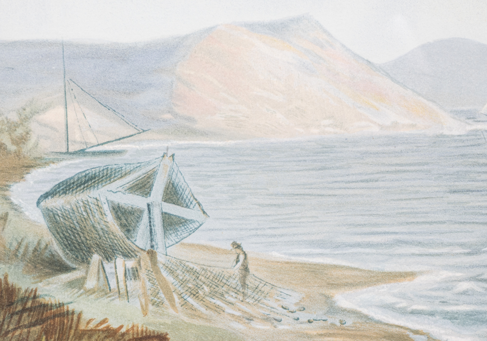 After S.A. Kilbourne "Sea Bass or Southern Blackfish" Chromolithograph