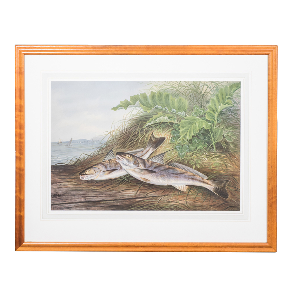 After S.A. Kilbourne "The Kingfish and The Whiting" Chromolithograph
