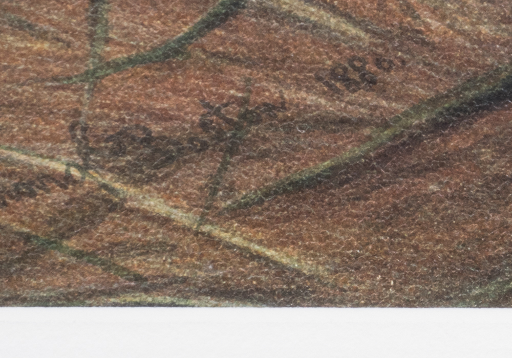 After S.A. Kilbourne "The Kingfish and The Whiting" Chromolithograph