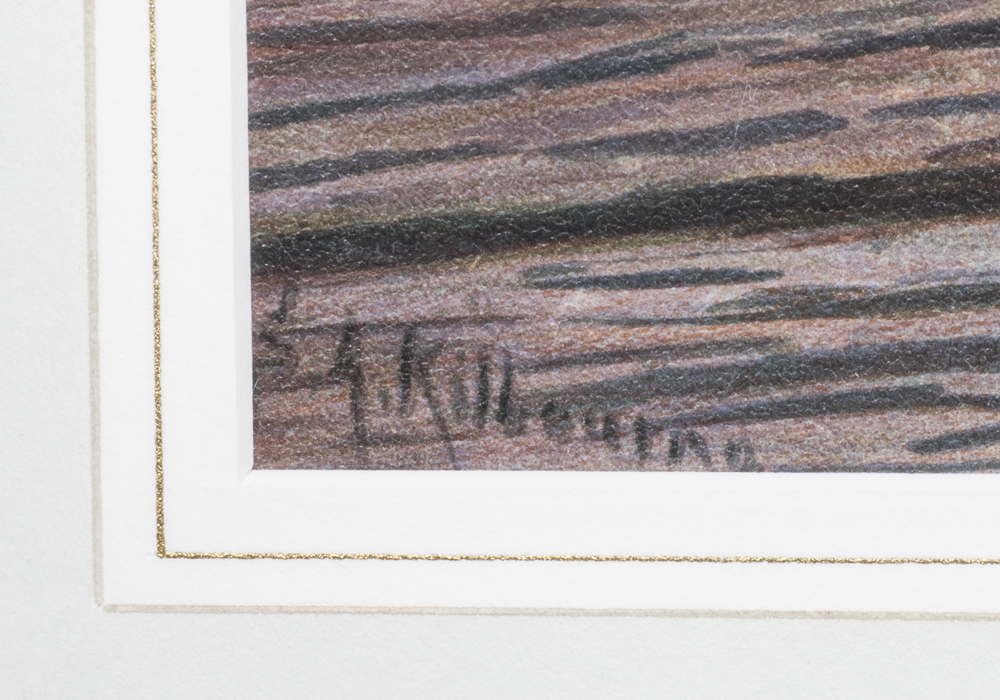 After S.A. Kilbourne "The Kingfish and The Whiting" Chromolithograph