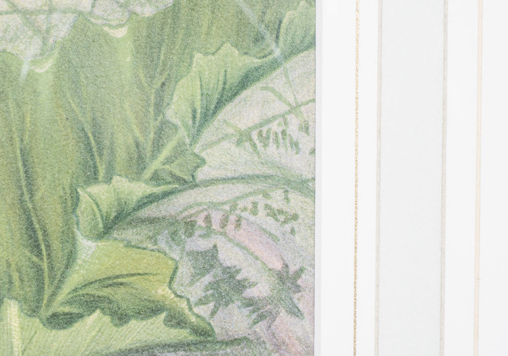 After S.A. Kilbourne "The Kingfish and The Whiting" Chromolithograph