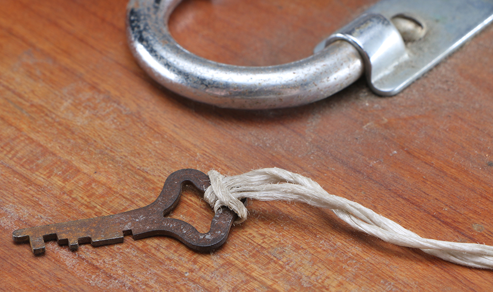 Vintage Bausch & Lomb Microscope with Wooden Case