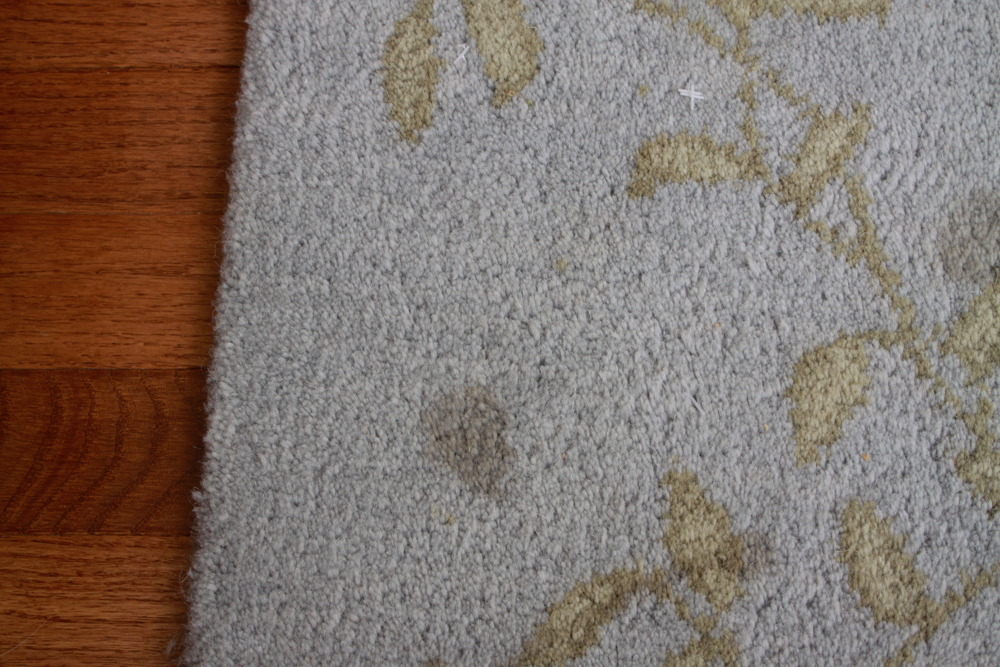 Tufted Jaipur Indian Wool Area Rug