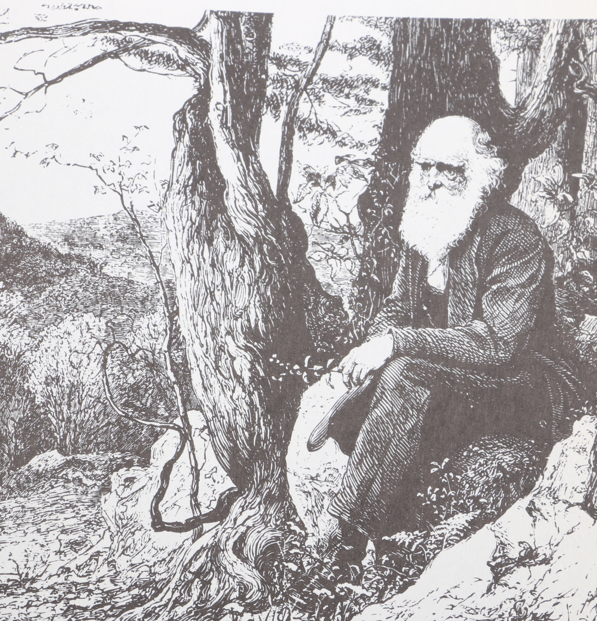 Vintage Assortment of Fiction and Literary Criticism