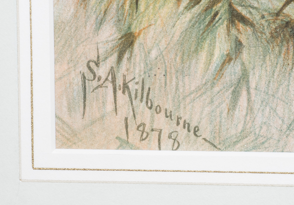 After S.A. Kilbourne "Mackeral" Chromolithograph