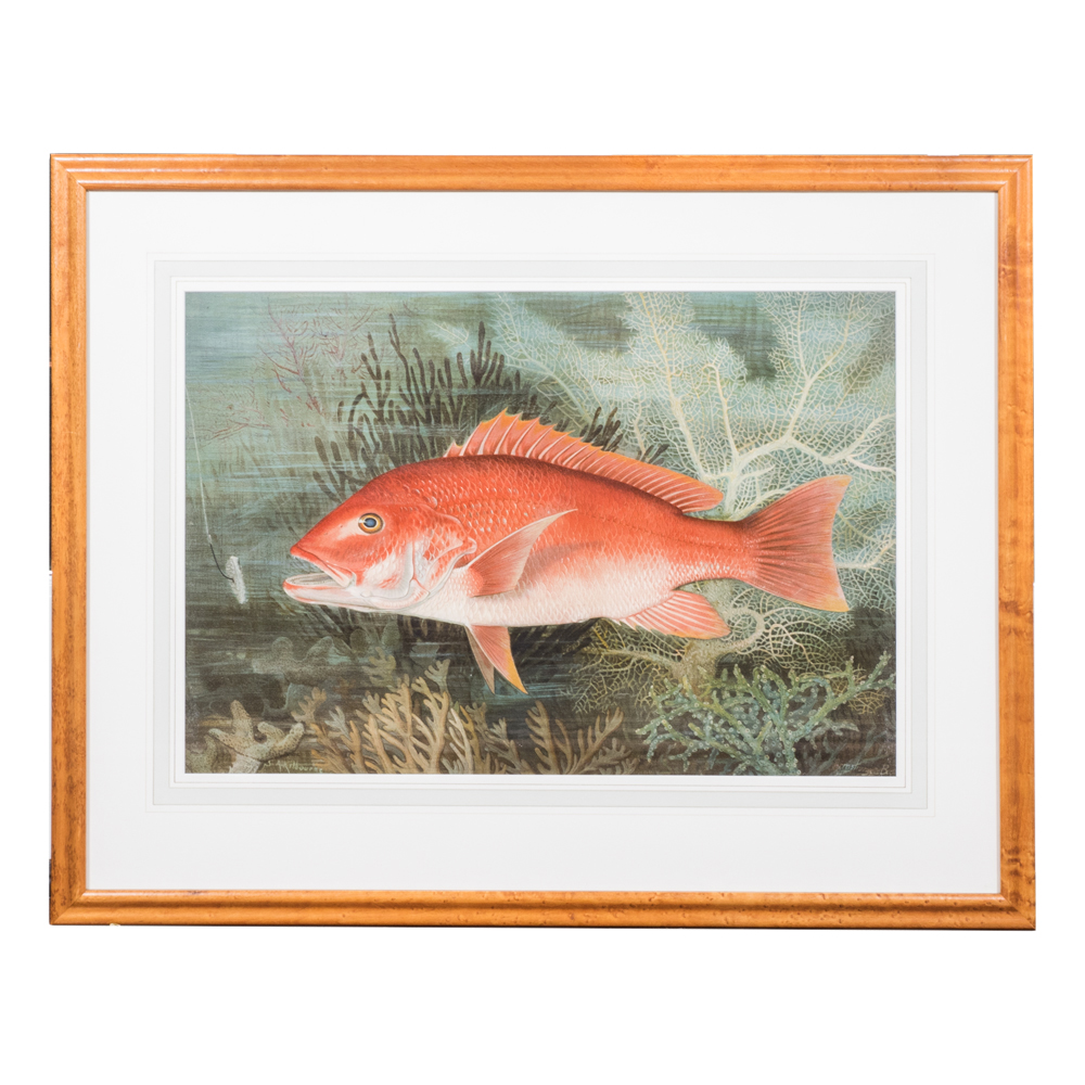 After S.A. Kilbourne "Red Snapper" Chromolithograph