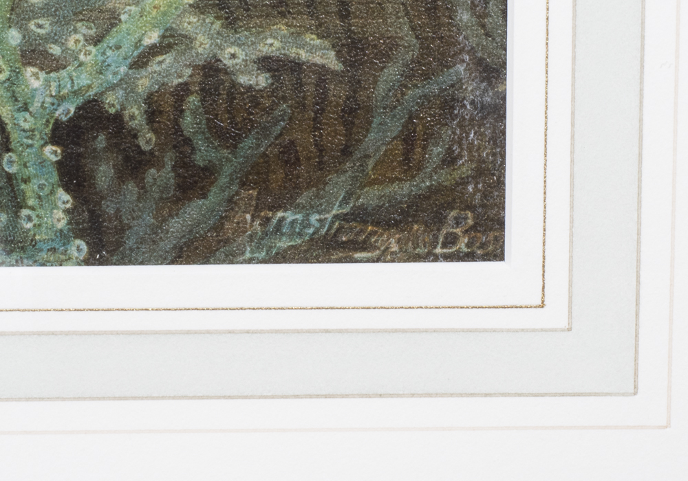 After S.A. Kilbourne "Red Snapper" Chromolithograph