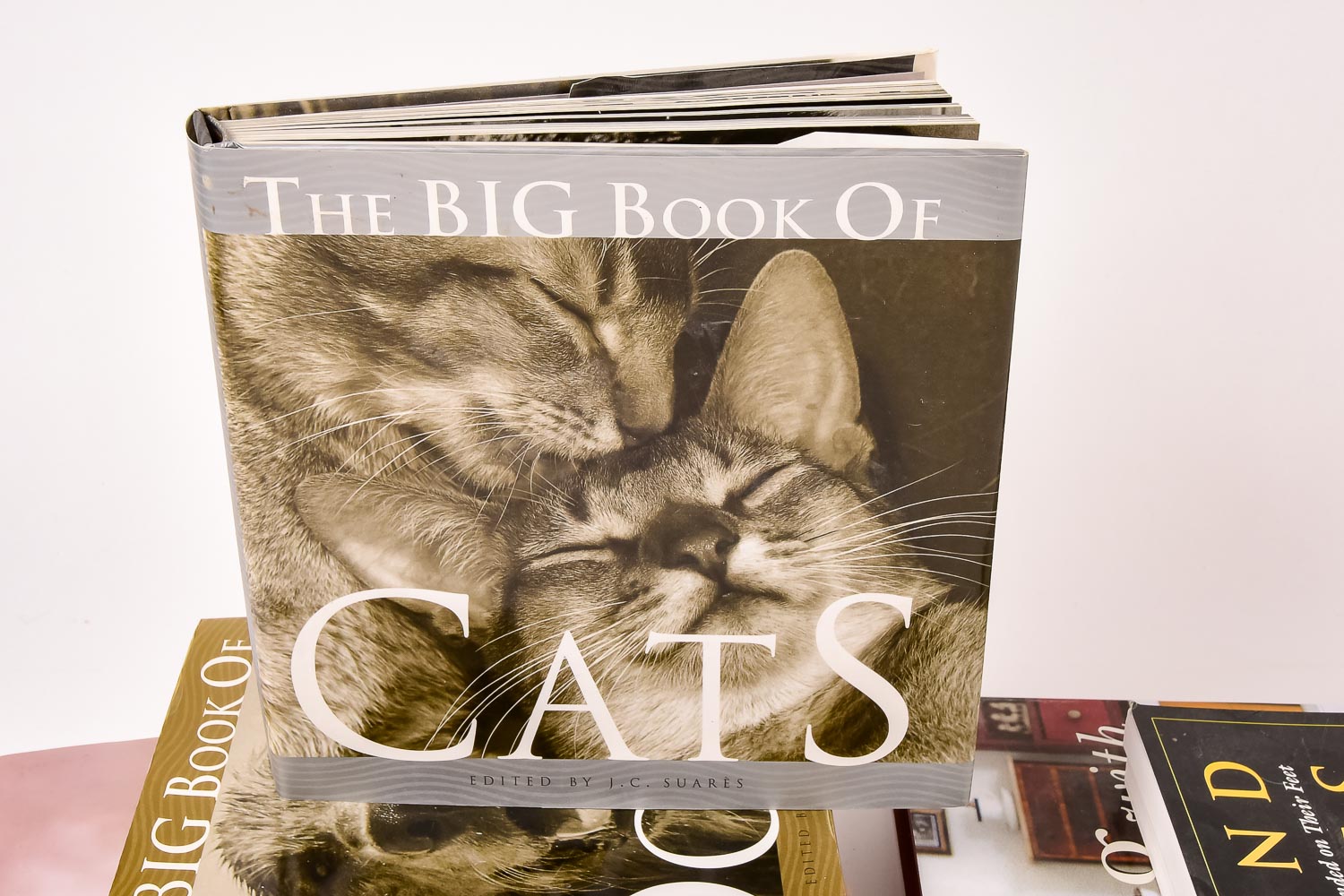 Collection of Dog and Cat Books