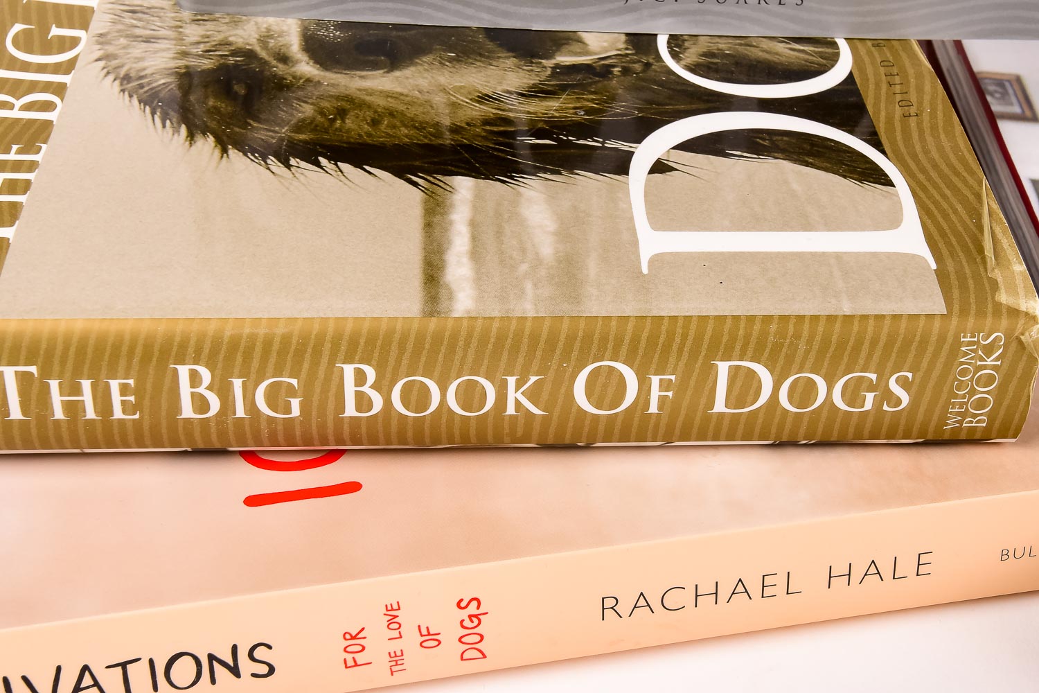 Collection of Dog and Cat Books