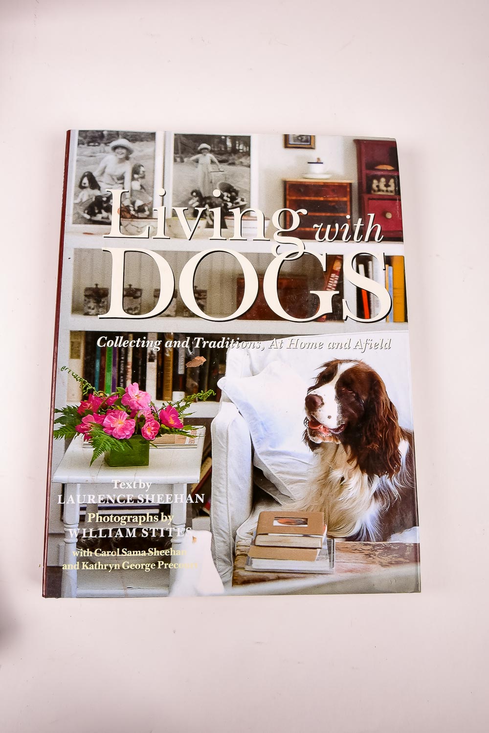 Collection of Dog and Cat Books