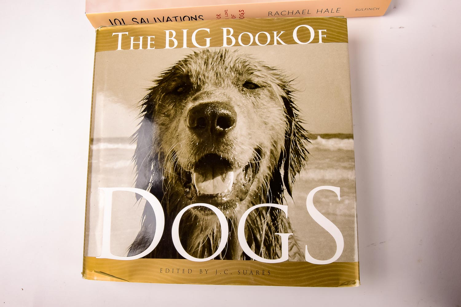 Collection of Dog and Cat Books