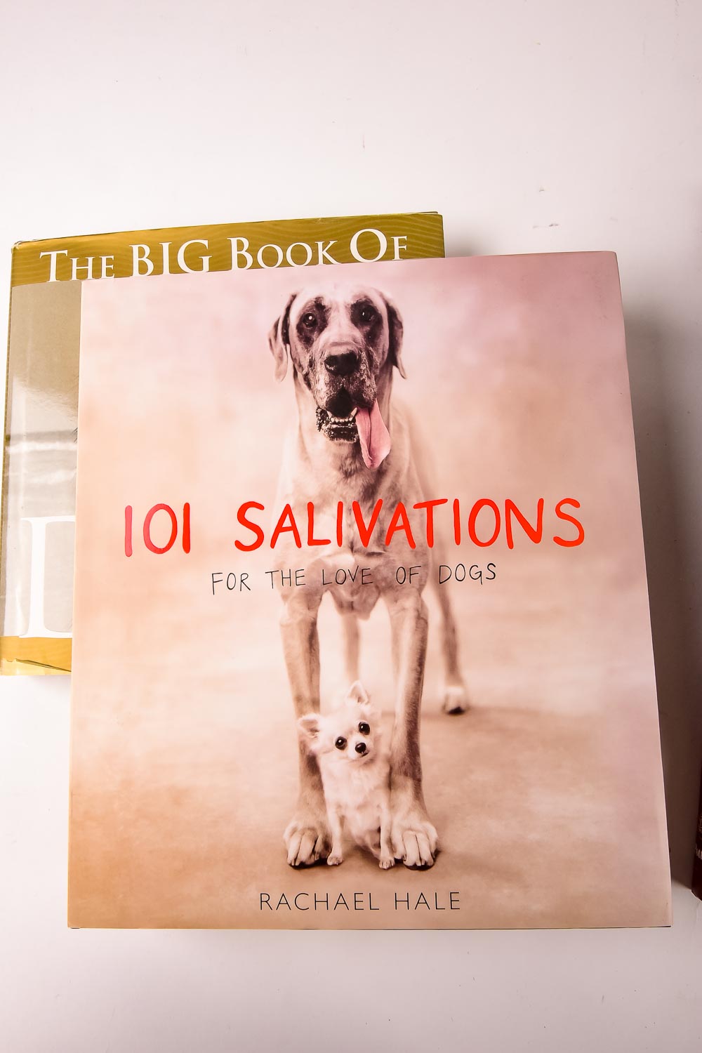 Collection of Dog and Cat Books