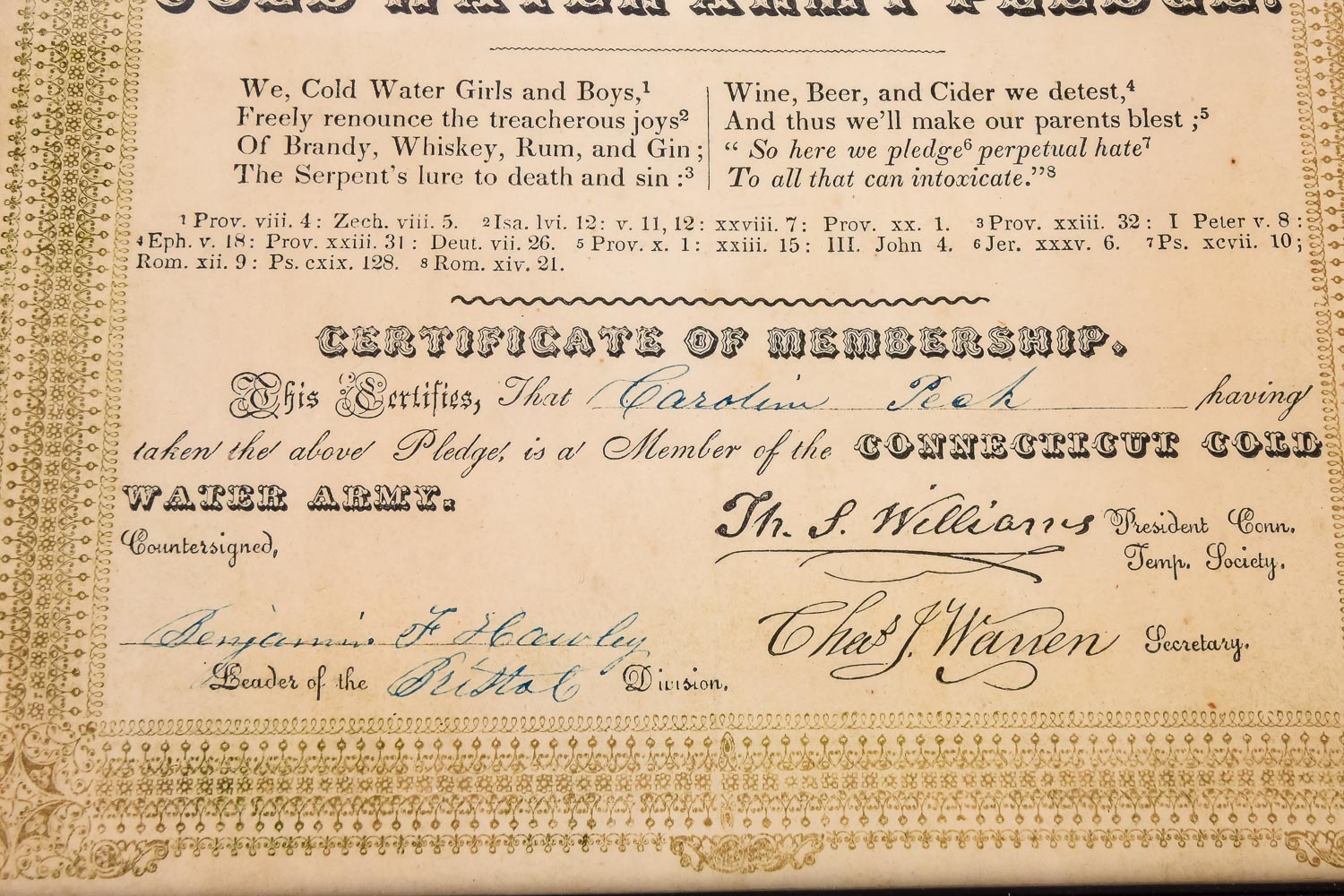 Antique Temperance Pledge