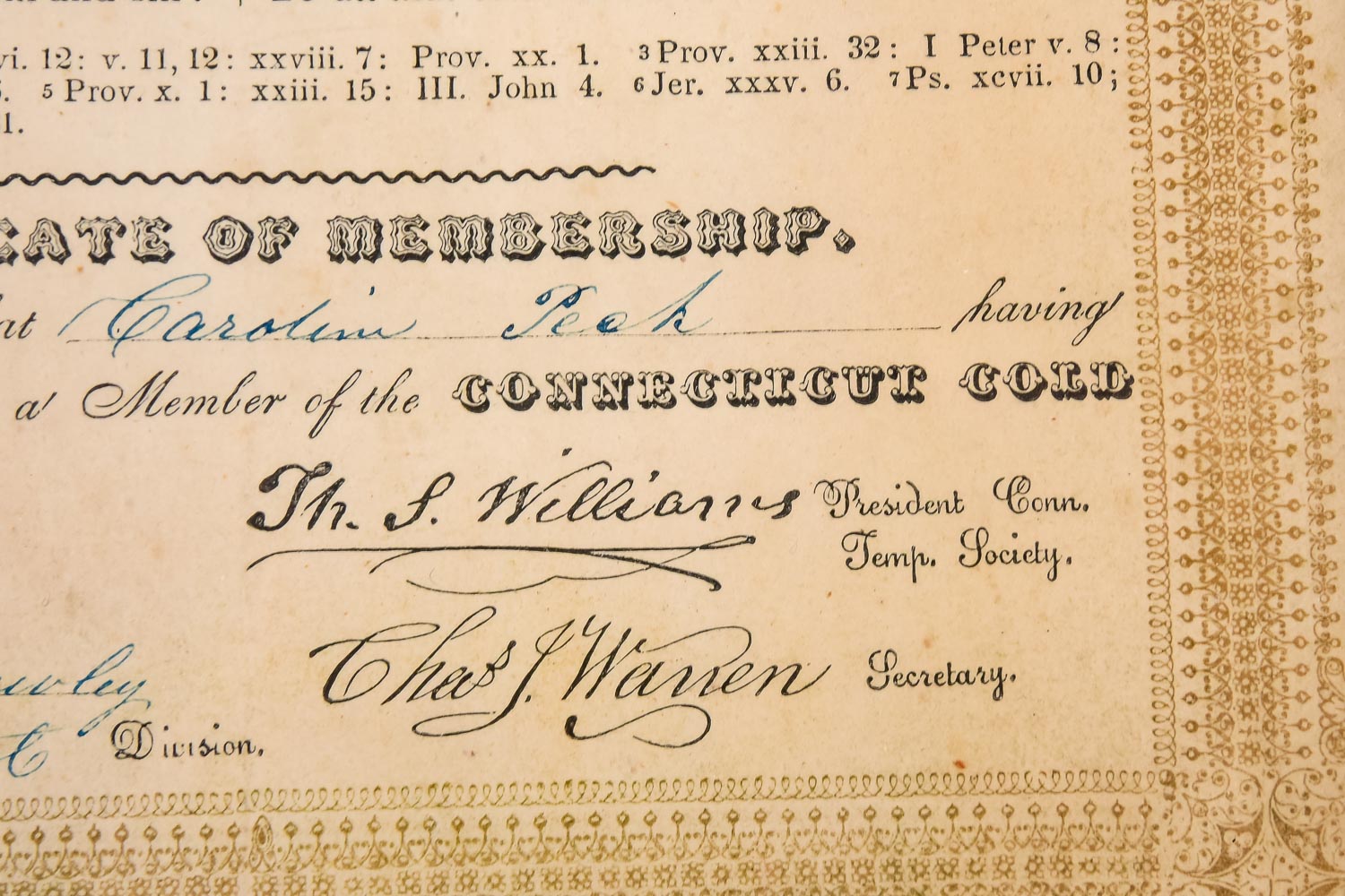 Antique Temperance Pledge