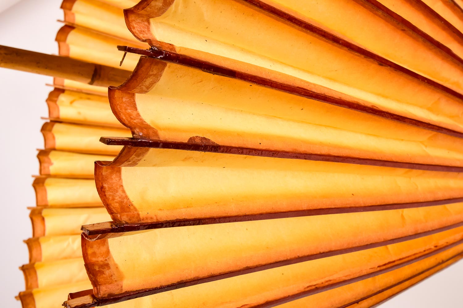 Asian Varnished Paper and Bamboo Umbrellas