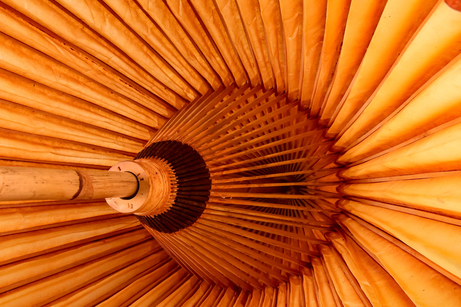 Asian Varnished Paper and Bamboo Umbrellas