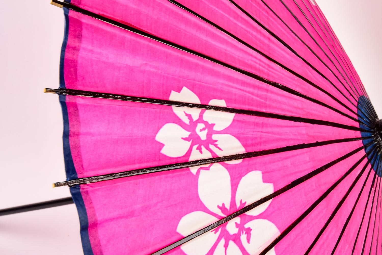 Asian Varnished Paper and Bamboo Umbrellas