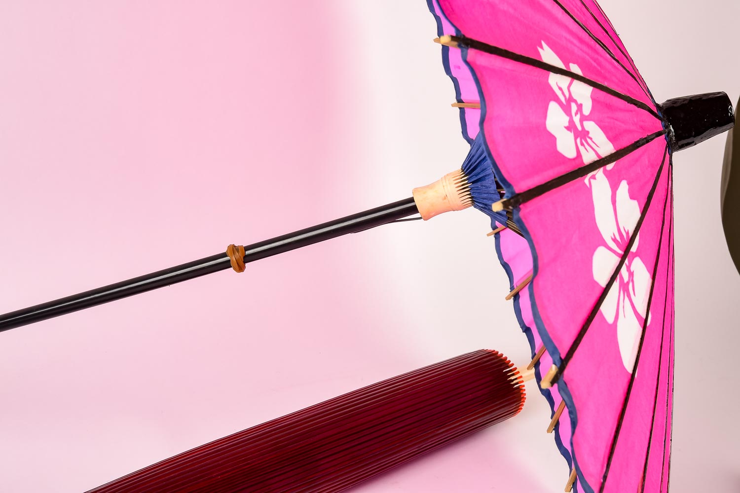 Asian Varnished Paper and Bamboo Umbrellas