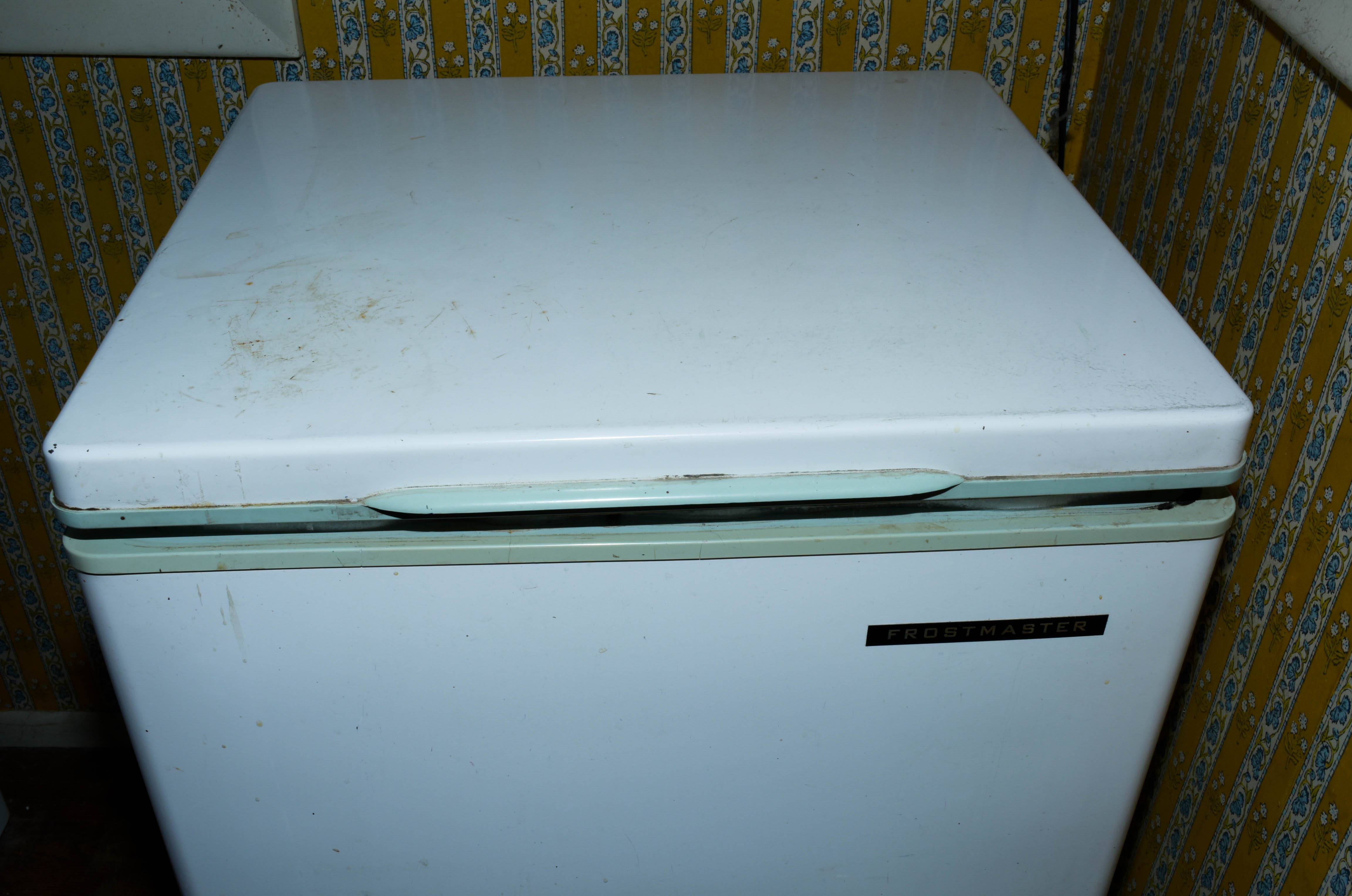 Frostmaster Chest Freezer