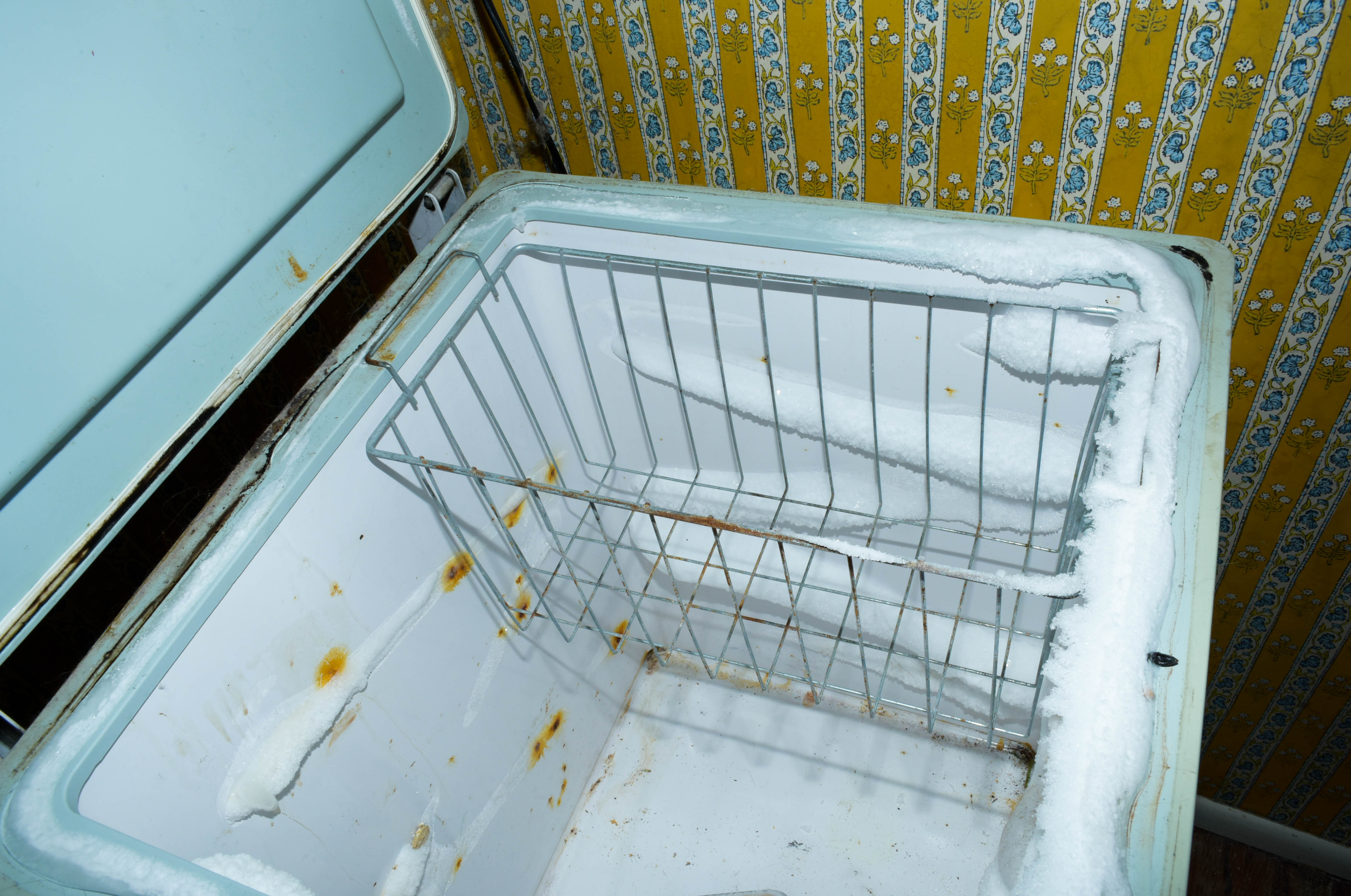 Frostmaster Chest Freezer