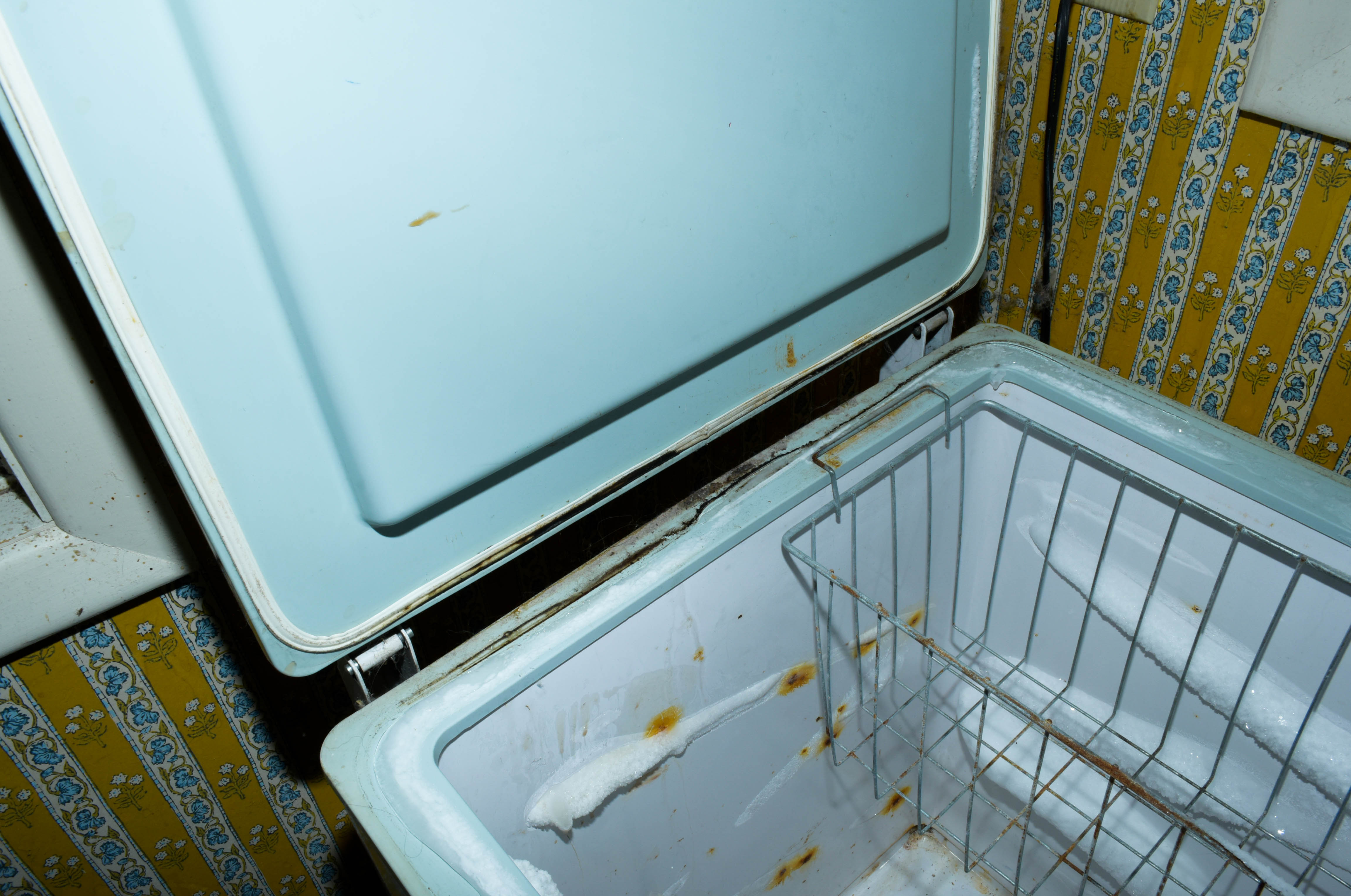 Frostmaster Chest Freezer