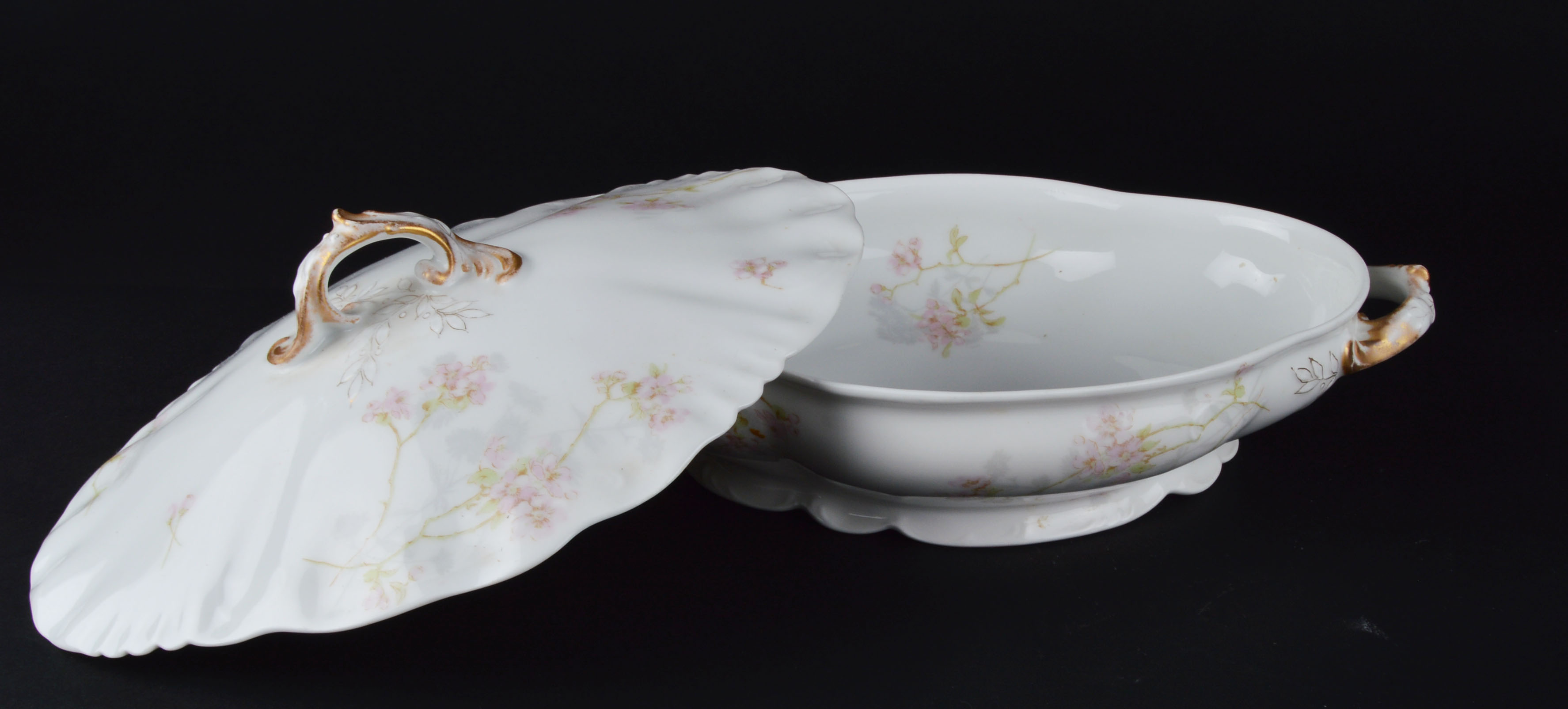 Charleston Limoges China