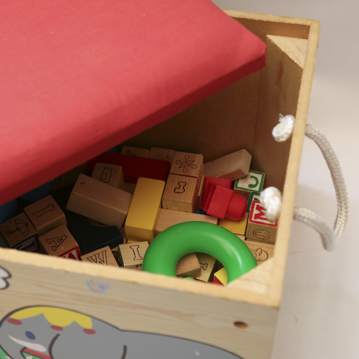 Children's Books and Toy Storage Bench with Play Blocks