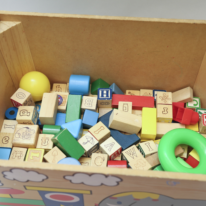 Children's Books and Toy Storage Bench with Play Blocks