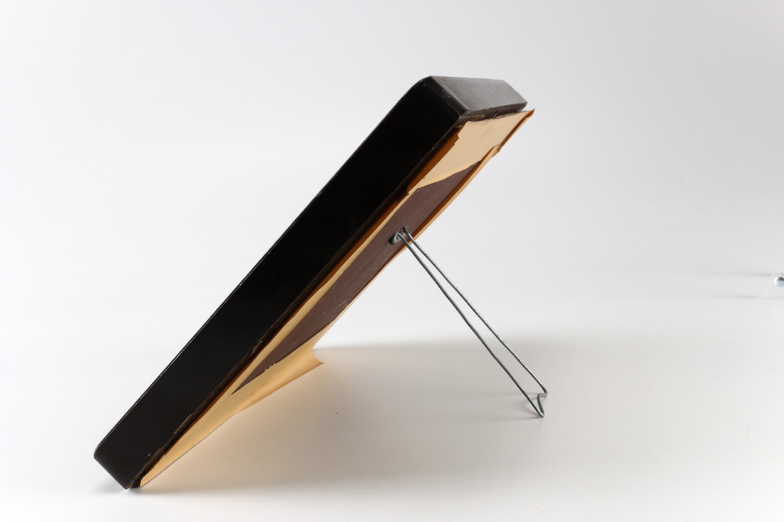 Mounted Attacus Atlas Moth With Cocoon