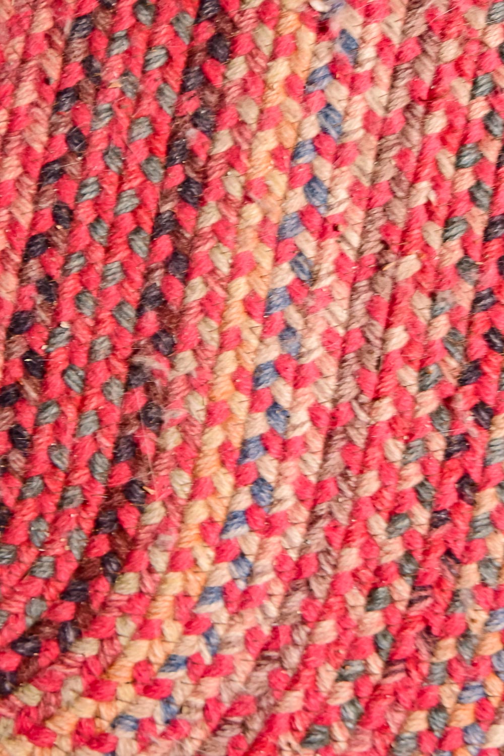 Braided Area Rug