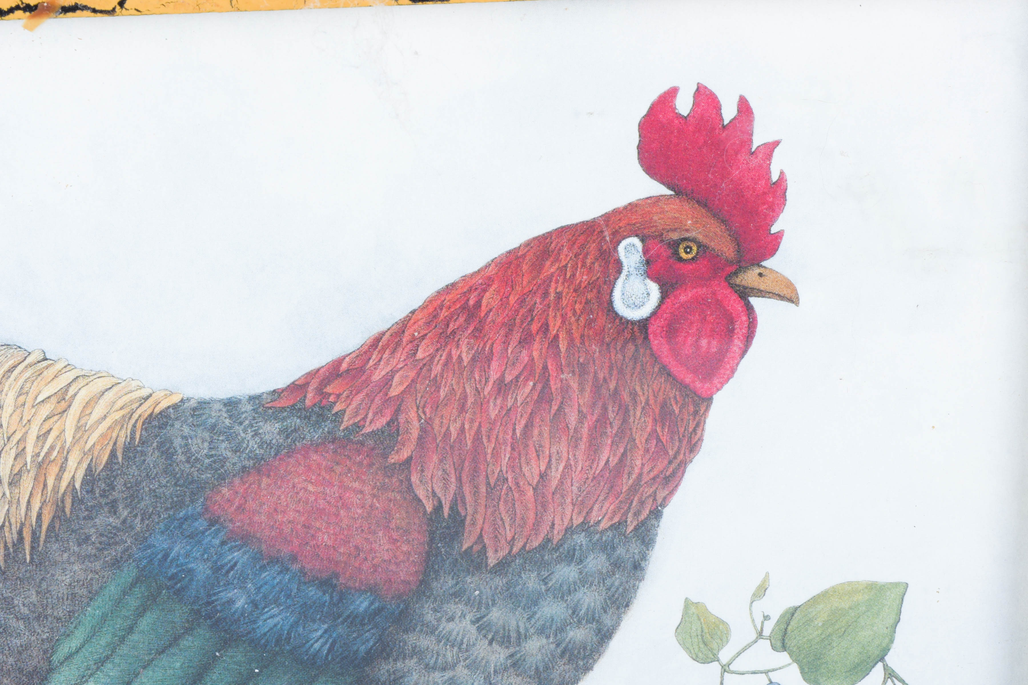 Assortment of Country Kitchenalia