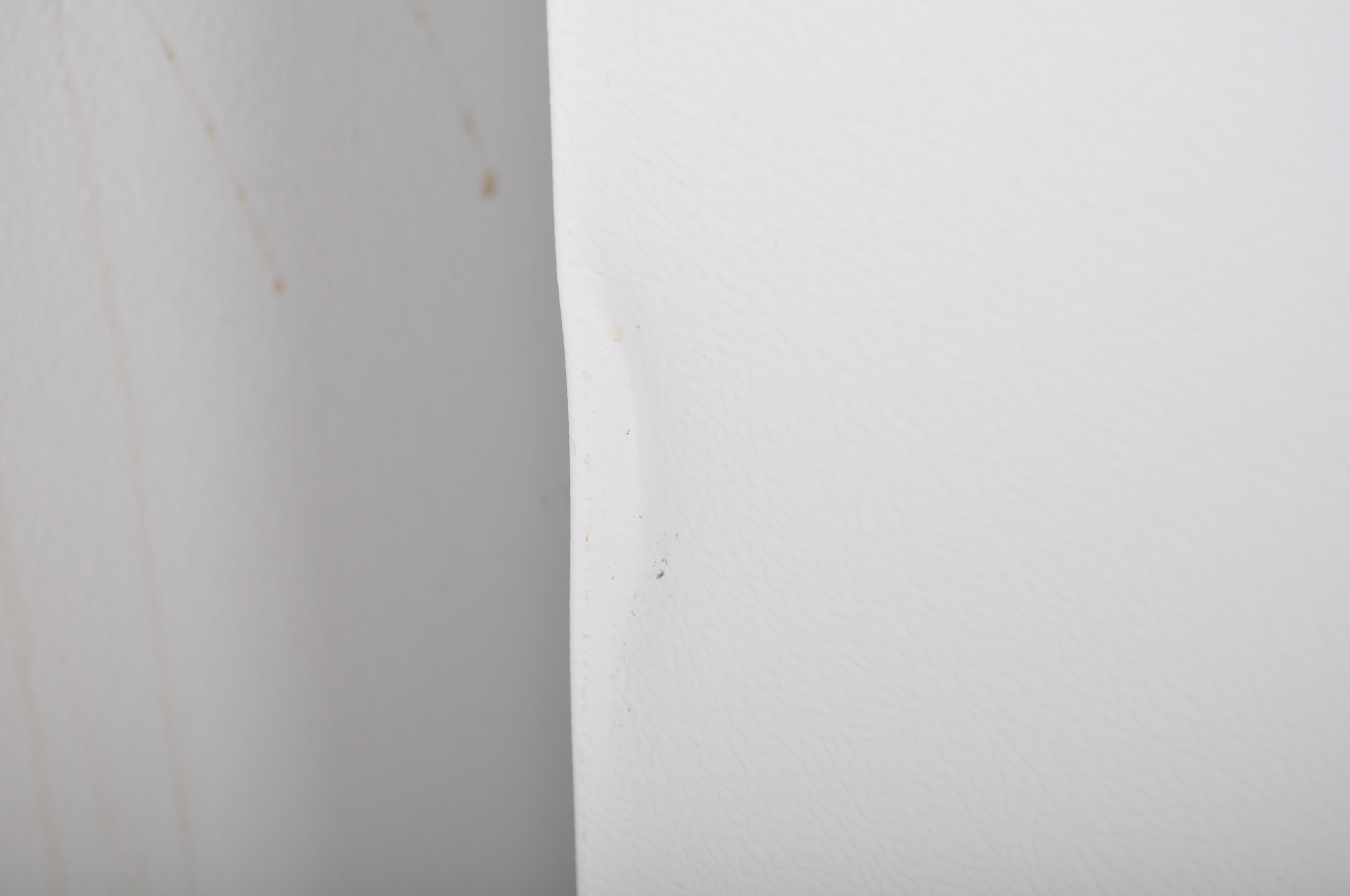 Kenmore Free Standing Refrigerator