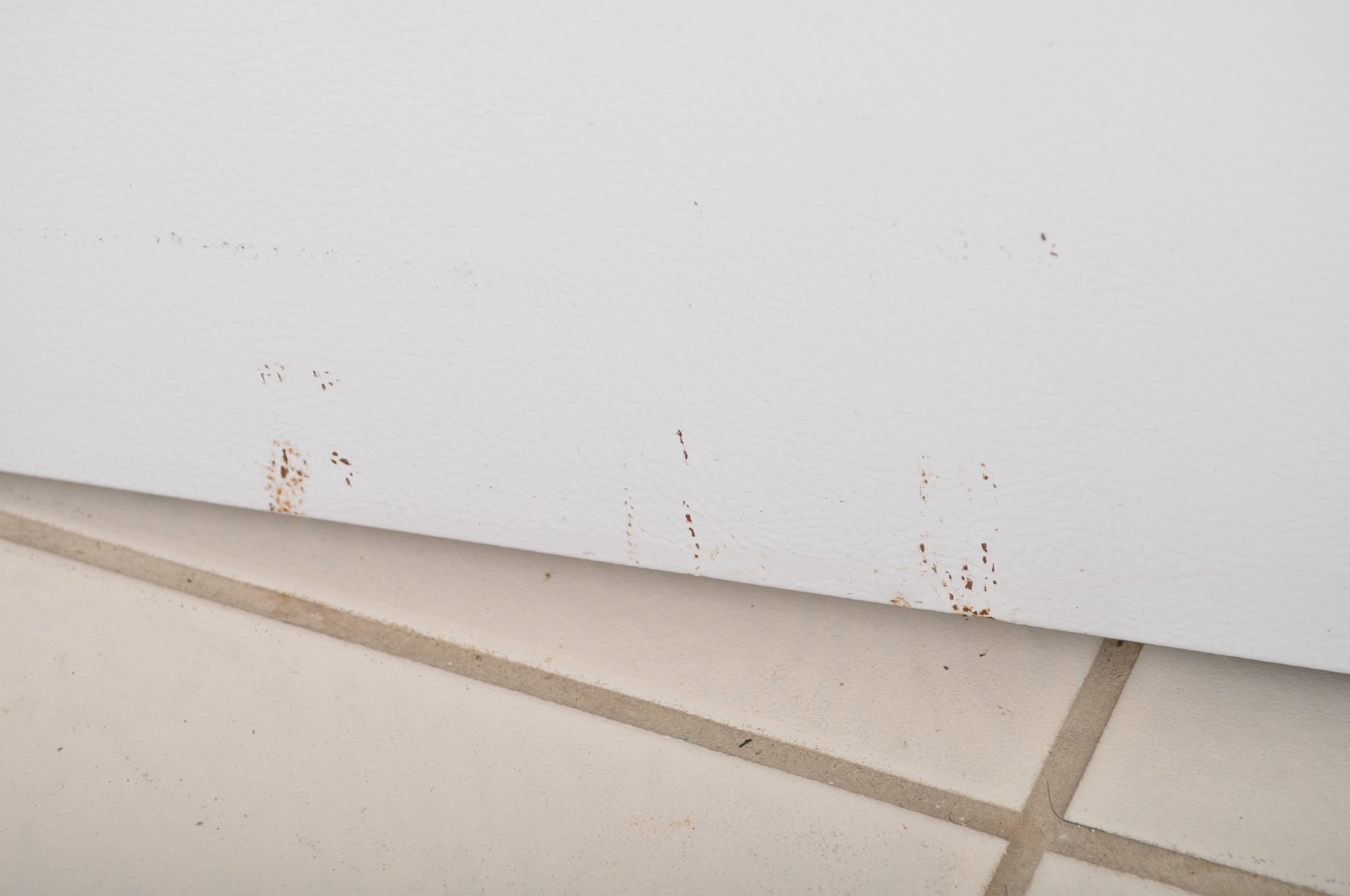 Kenmore Free Standing Refrigerator