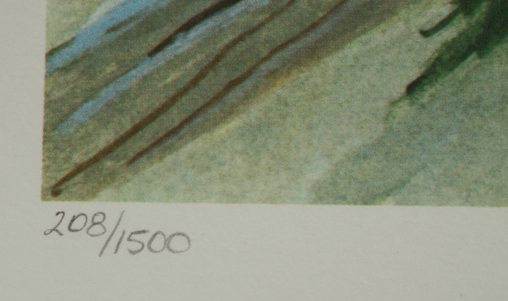 John Ruthven Signed Print, Also Signed by George H.W. Bush