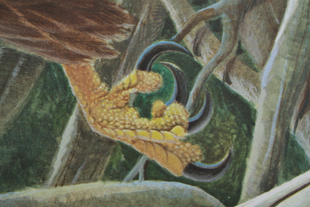 John Ruthven Signed Print, Also Signed by George H.W. Bush