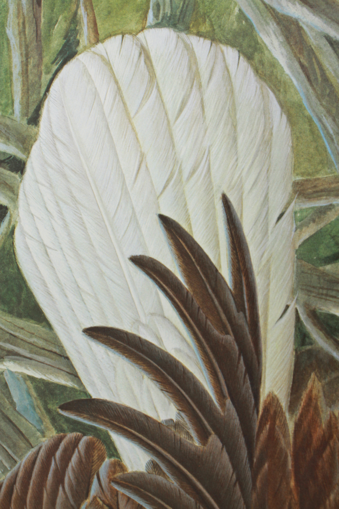 John Ruthven Signed Print, Also Signed by George H.W. Bush