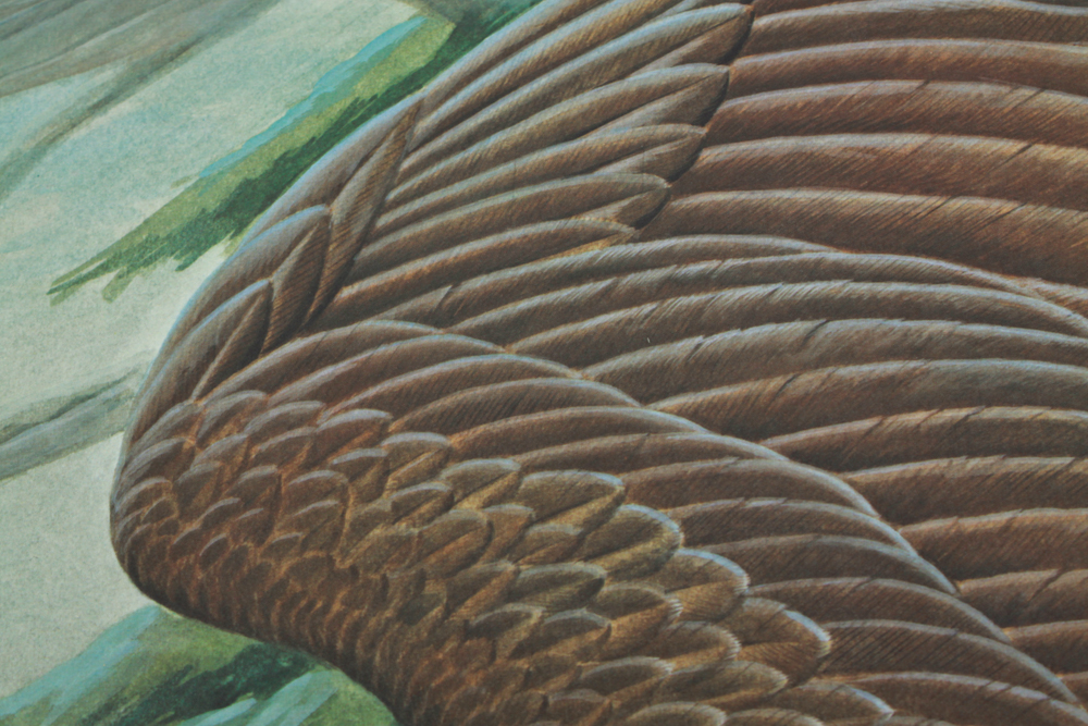 John Ruthven Signed Print, Also Signed by George H.W. Bush