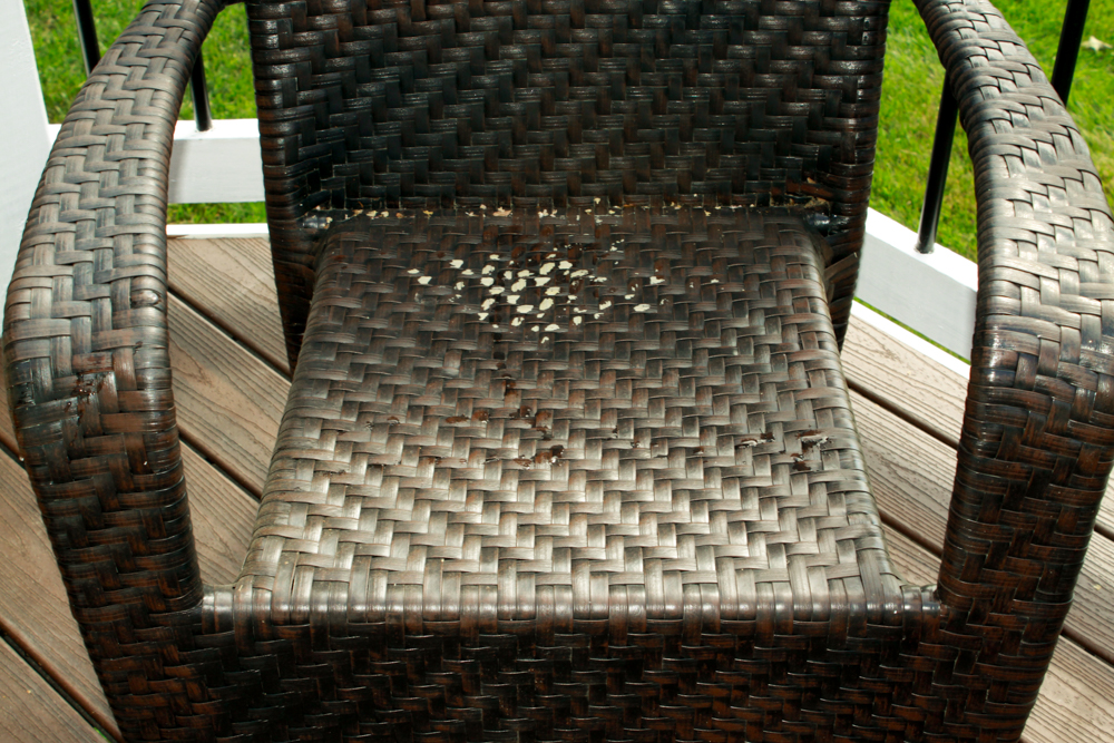 Four Frontgate Outdoor Chairs with Cushions