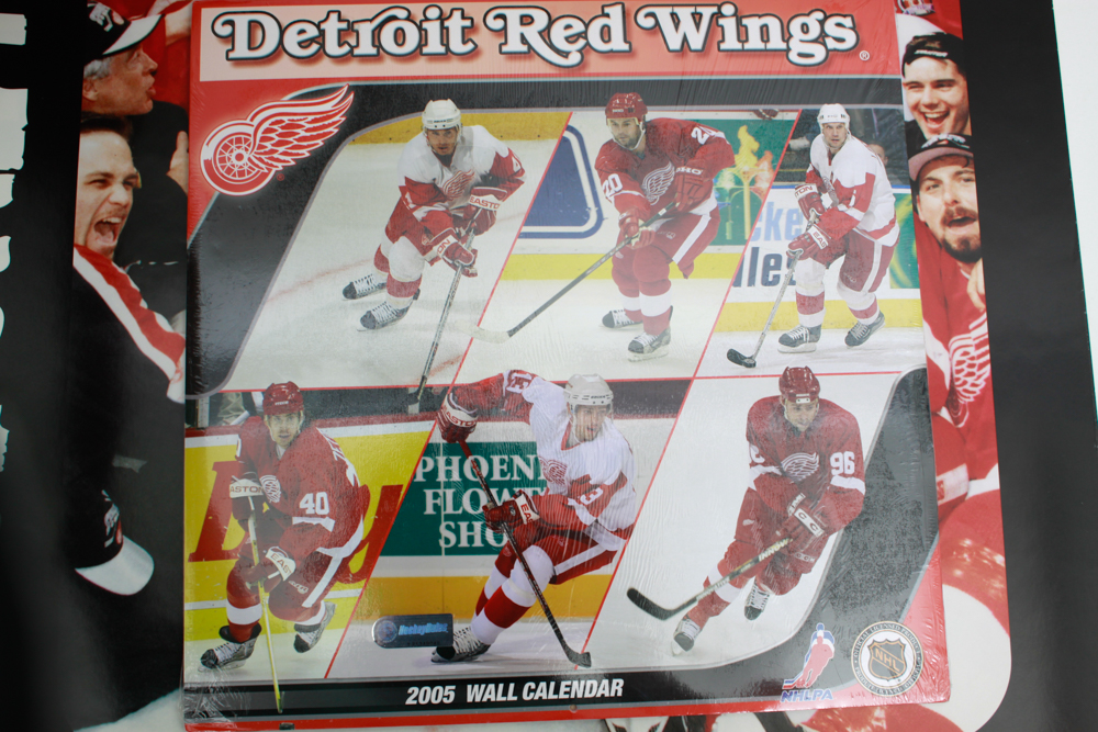 Collection of NHL Hockey Memorabilia